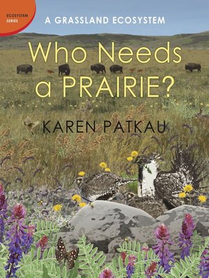 cover image of Who Needs a Prairie?